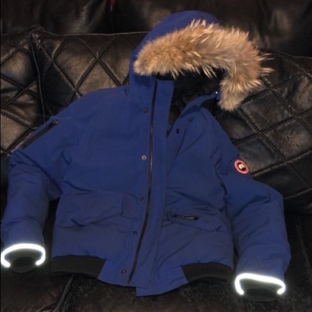 A blue Canadian goose